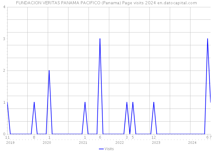 FUNDACION VERITAS PANAMA PACIFICO (Panama) Page visits 2024 