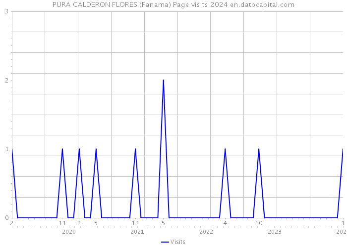PURA CALDERON FLORES (Panama) Page visits 2024 