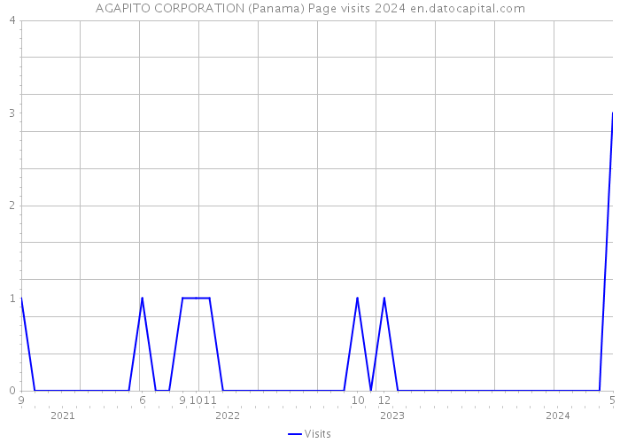 AGAPITO CORPORATION (Panama) Page visits 2024 