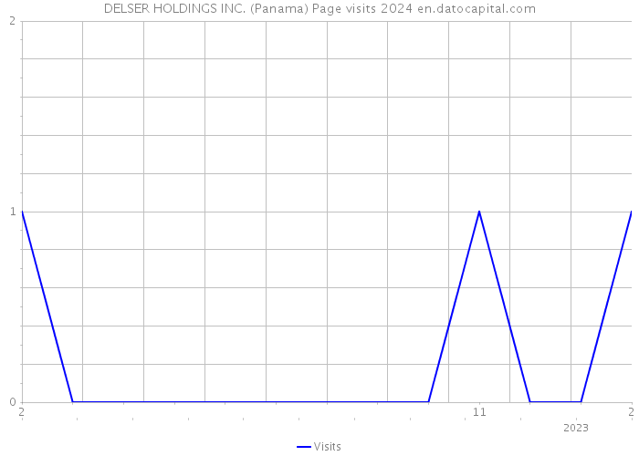 DELSER HOLDINGS INC. (Panama) Page visits 2024 