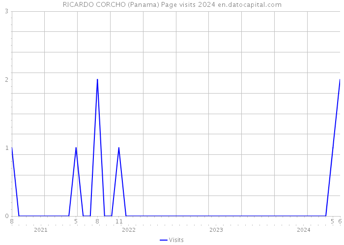 RICARDO CORCHO (Panama) Page visits 2024 