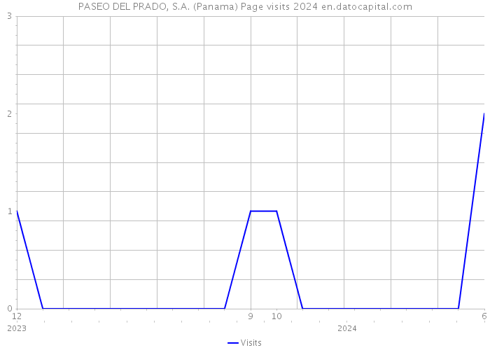 PASEO DEL PRADO, S.A. (Panama) Page visits 2024 
