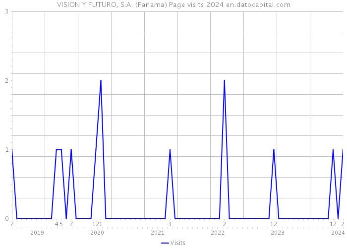 VISION Y FUTURO, S.A. (Panama) Page visits 2024 