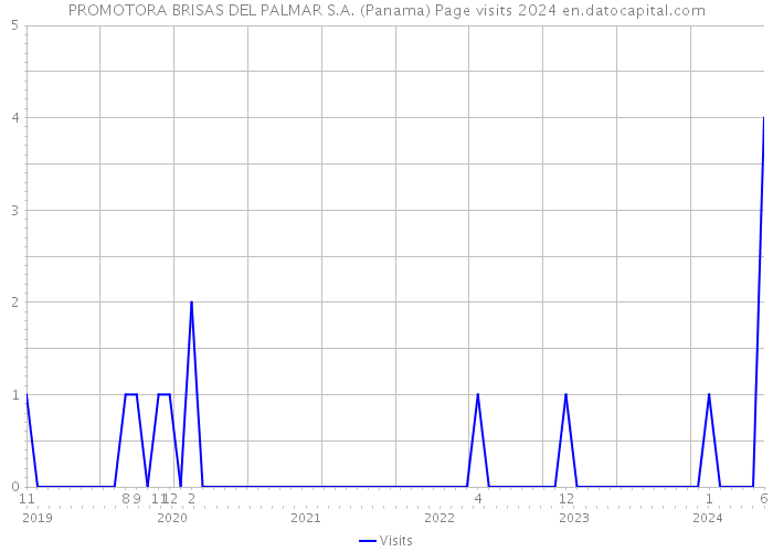 PROMOTORA BRISAS DEL PALMAR S.A. (Panama) Page visits 2024 