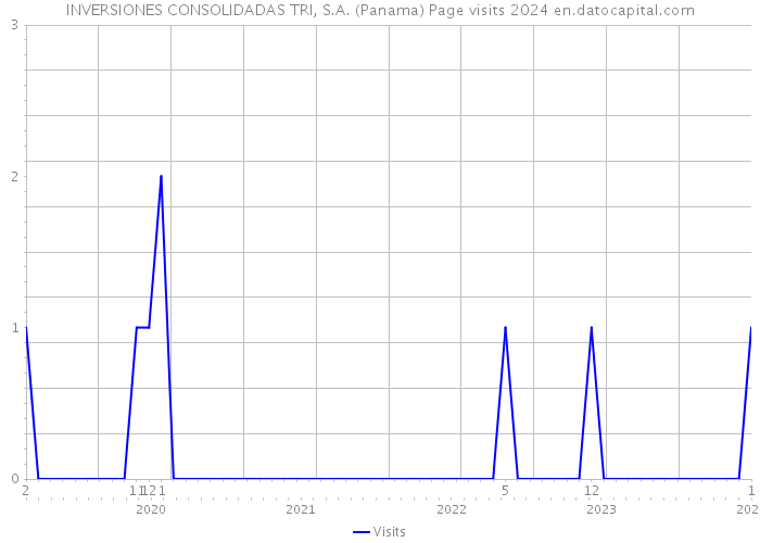 INVERSIONES CONSOLIDADAS TRI, S.A. (Panama) Page visits 2024 