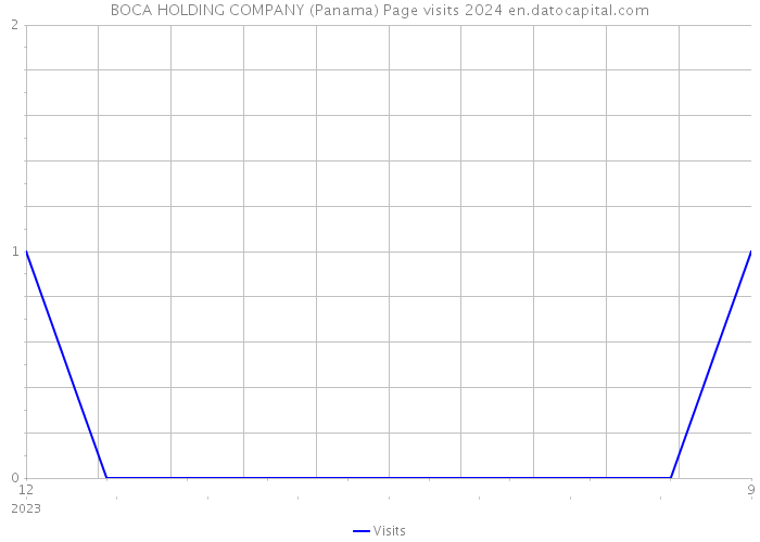 BOCA HOLDING COMPANY (Panama) Page visits 2024 