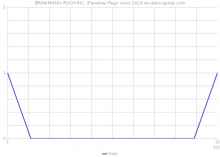 BRINKMANN-PUGH INC. (Panama) Page visits 2024 