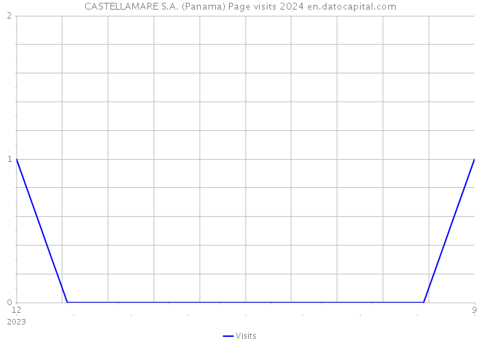 CASTELLAMARE S.A. (Panama) Page visits 2024 