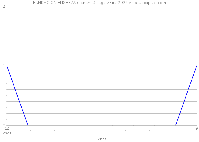 FUNDACION ELISHEVA (Panama) Page visits 2024 