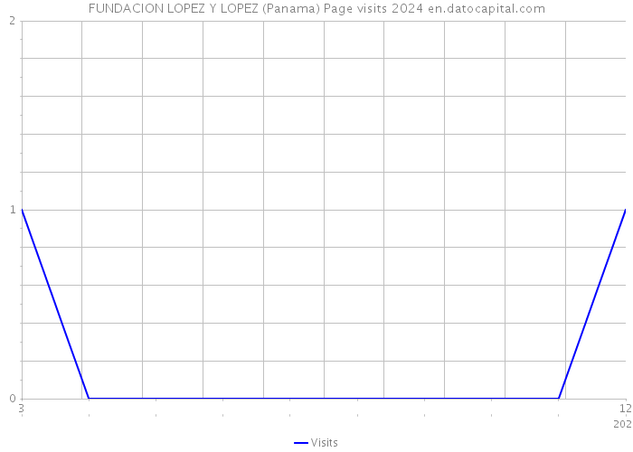 FUNDACION LOPEZ Y LOPEZ (Panama) Page visits 2024 