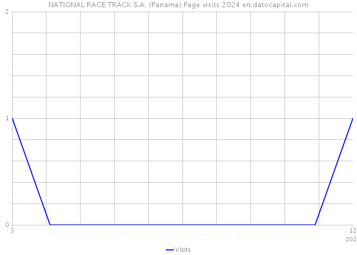 NATIONAL RACE TRACK S.A. (Panama) Page visits 2024 