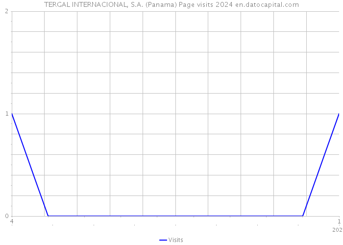 TERGAL INTERNACIONAL, S.A. (Panama) Page visits 2024 