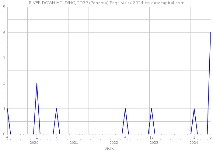 RIVER DOWN HOLDING,CORP (Panama) Page visits 2024 