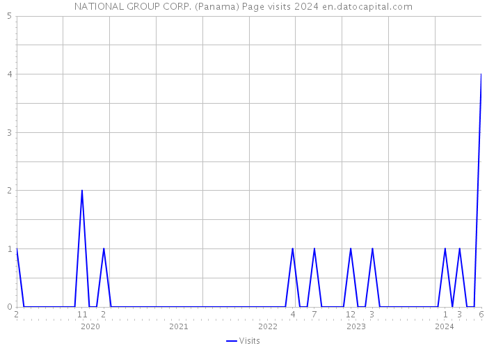 NATIONAL GROUP CORP. (Panama) Page visits 2024 