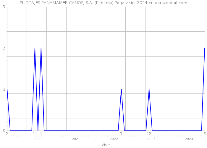 PILOTAJES PANAMAMERICANOS, S.A. (Panama) Page visits 2024 