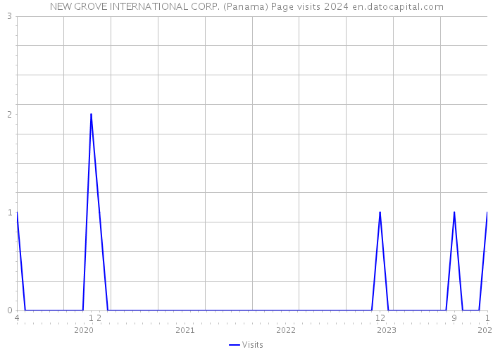 NEW GROVE INTERNATIONAL CORP. (Panama) Page visits 2024 