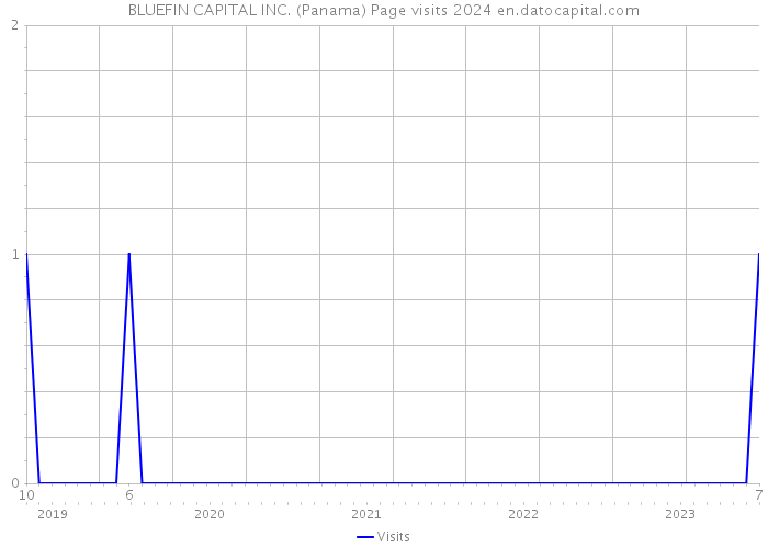 BLUEFIN CAPITAL INC. (Panama) Page visits 2024 