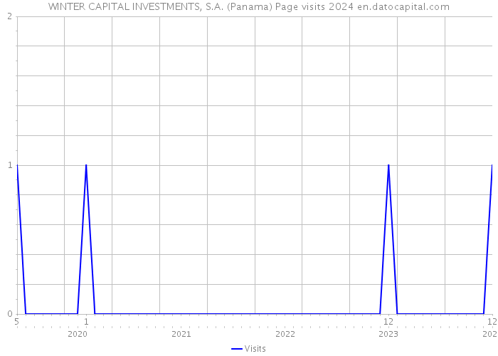 WINTER CAPITAL INVESTMENTS, S.A. (Panama) Page visits 2024 