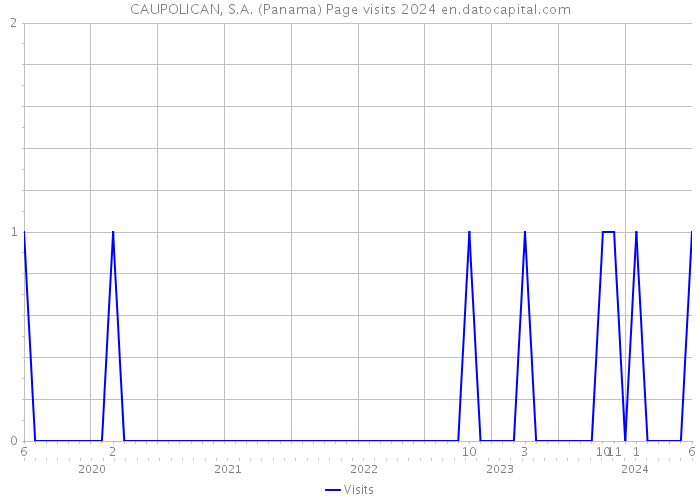 CAUPOLICAN, S.A. (Panama) Page visits 2024 