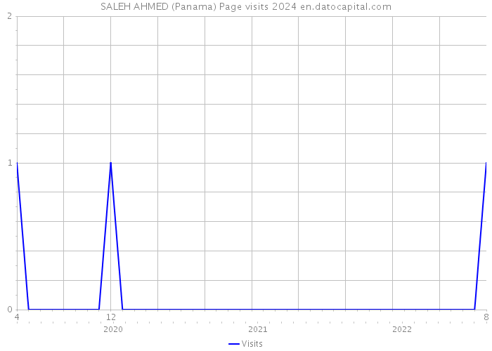 SALEH AHMED (Panama) Page visits 2024 