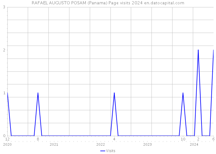 RAFAEL AUGUSTO POSAM (Panama) Page visits 2024 