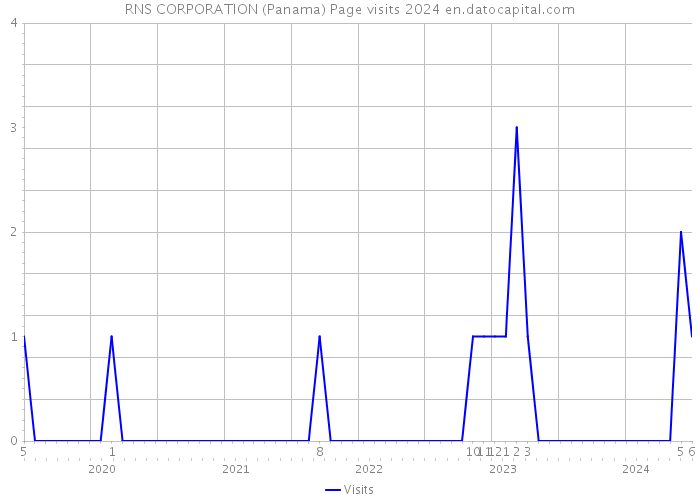 RNS CORPORATION (Panama) Page visits 2024 