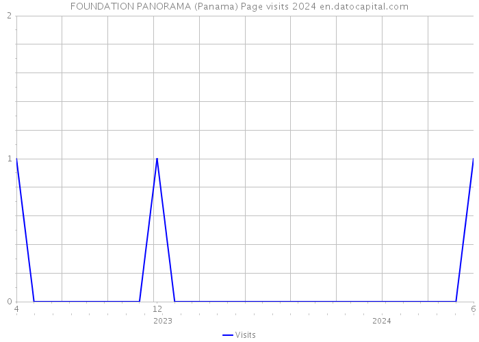 FOUNDATION PANORAMA (Panama) Page visits 2024 