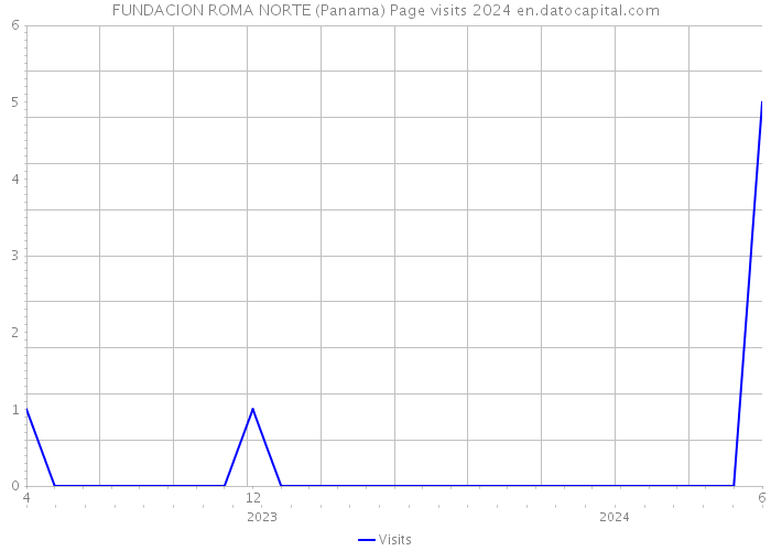 FUNDACION ROMA NORTE (Panama) Page visits 2024 