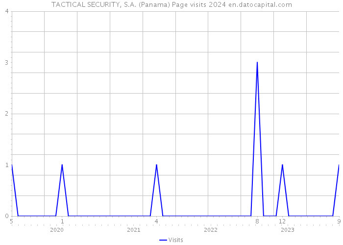 TACTICAL SECURITY, S.A. (Panama) Page visits 2024 