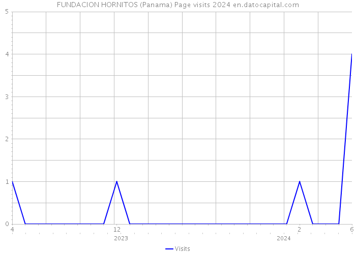 FUNDACION HORNITOS (Panama) Page visits 2024 