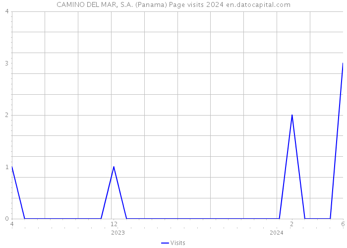 CAMINO DEL MAR, S.A. (Panama) Page visits 2024 