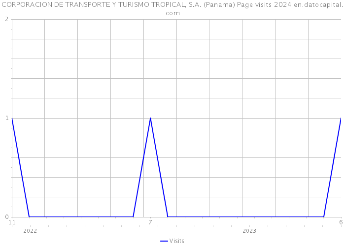 CORPORACION DE TRANSPORTE Y TURISMO TROPICAL, S.A. (Panama) Page visits 2024 