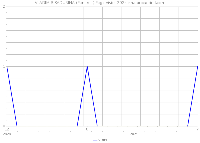 VLADIMIR BADURINA (Panama) Page visits 2024 