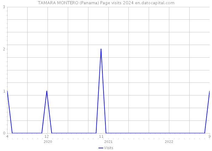TAMARA MONTERO (Panama) Page visits 2024 
