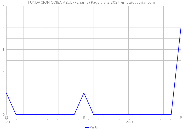 FUNDACION COIBA AZUL (Panama) Page visits 2024 