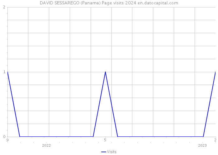 DAVID SESSAREGO (Panama) Page visits 2024 
