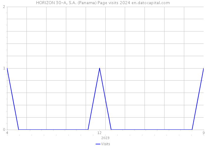 HORIZON 30-A, S.A. (Panama) Page visits 2024 