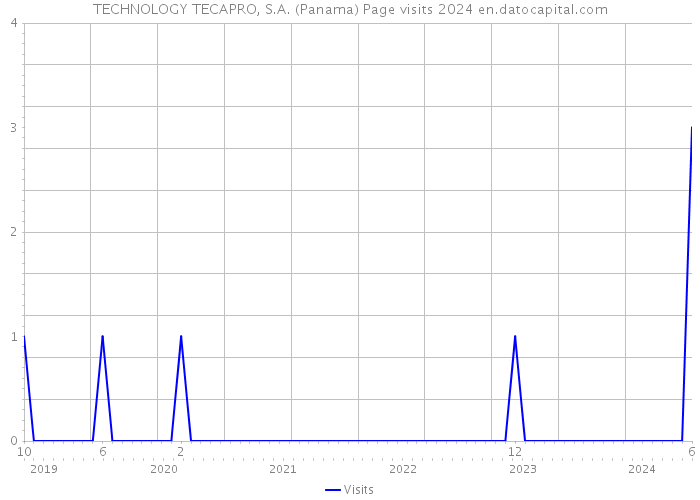 TECHNOLOGY TECAPRO, S.A. (Panama) Page visits 2024 