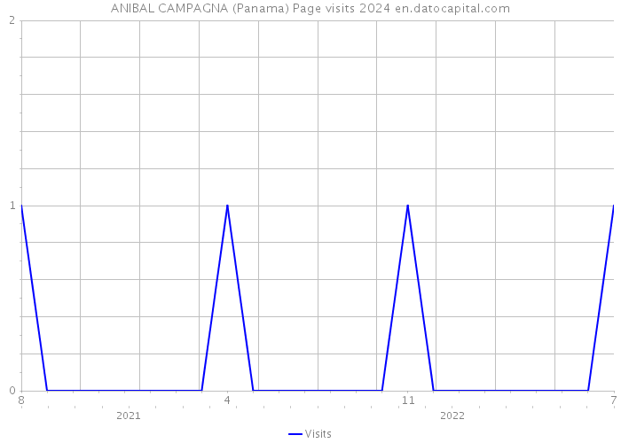 ANIBAL CAMPAGNA (Panama) Page visits 2024 
