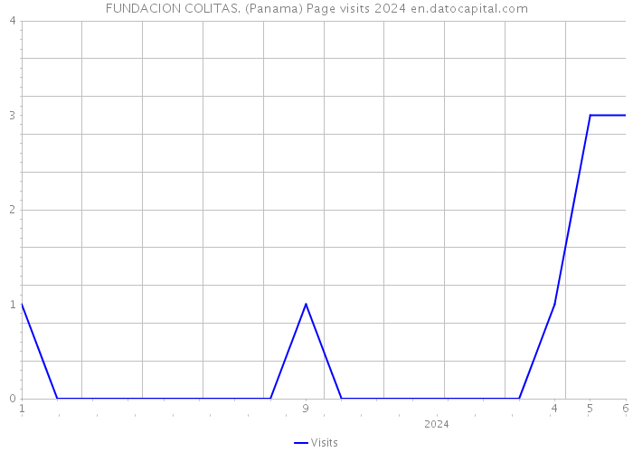 FUNDACION COLITAS. (Panama) Page visits 2024 