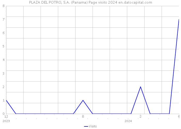 PLAZA DEL POTRO, S.A. (Panama) Page visits 2024 