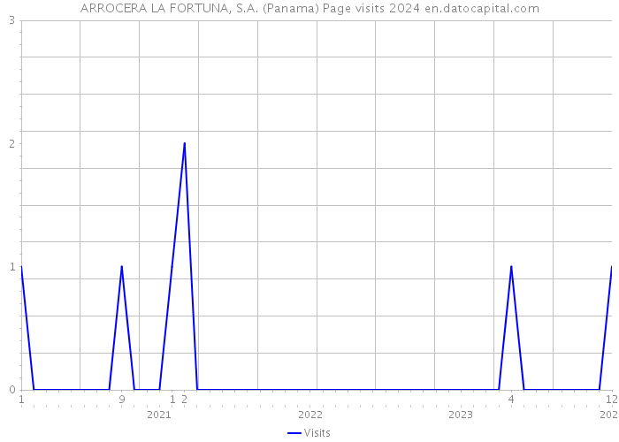 ARROCERA LA FORTUNA, S.A. (Panama) Page visits 2024 