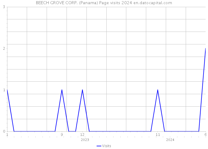 BEECH GROVE CORP. (Panama) Page visits 2024 