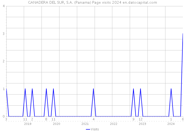 GANADERA DEL SUR, S.A. (Panama) Page visits 2024 