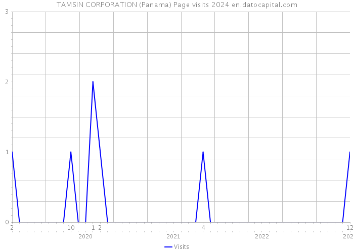 TAMSIN CORPORATION (Panama) Page visits 2024 