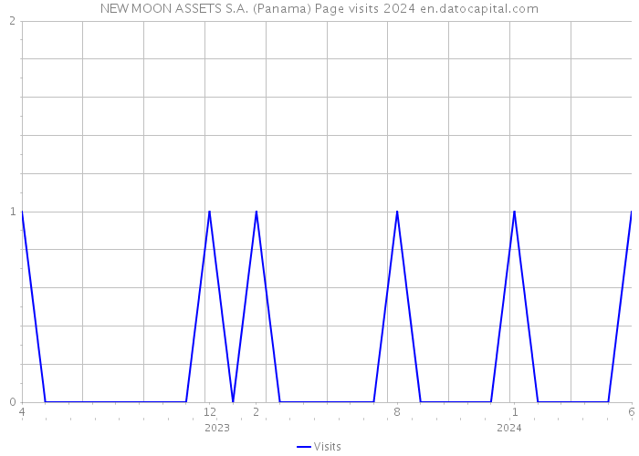 NEW MOON ASSETS S.A. (Panama) Page visits 2024 