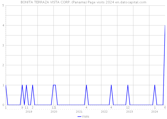 BONITA TERRAZA VISTA CORP. (Panama) Page visits 2024 