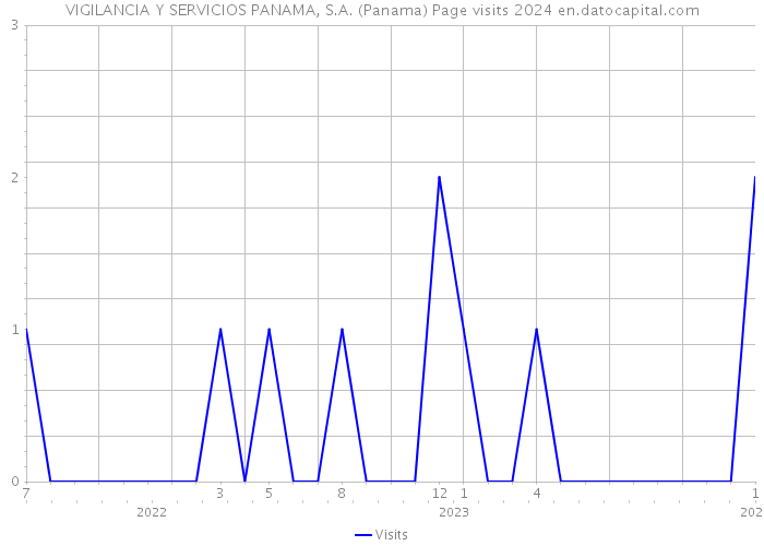 VIGILANCIA Y SERVICIOS PANAMA, S.A. (Panama) Page visits 2024 