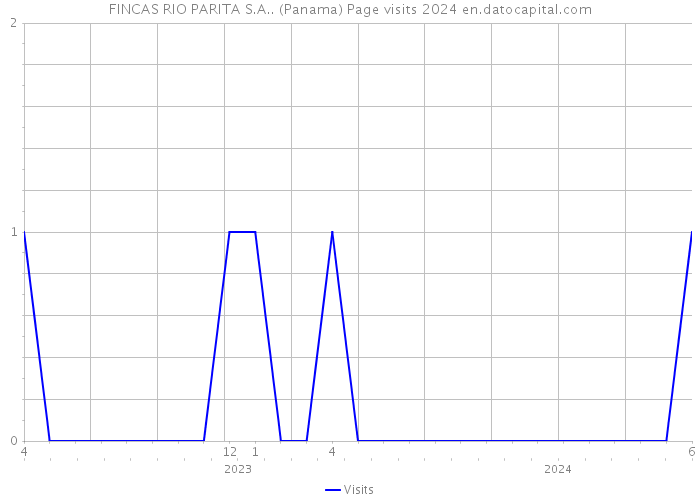 FINCAS RIO PARITA S.A.. (Panama) Page visits 2024 