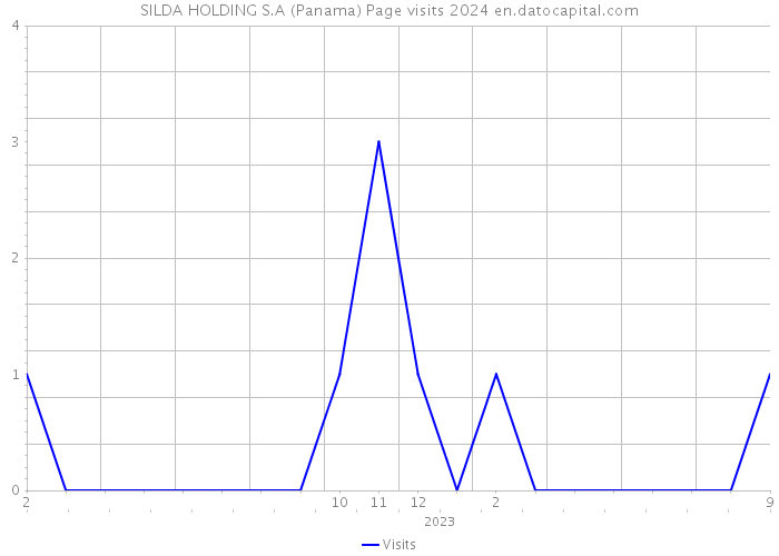 SILDA HOLDING S.A (Panama) Page visits 2024 